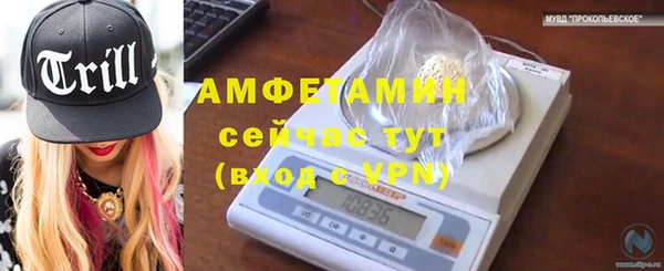 стаф Вяземский