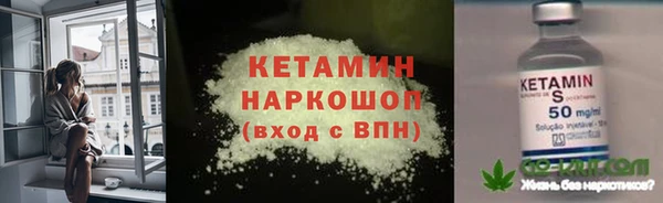 стаф Вяземский