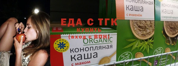 Альфа ПВП Вязьма