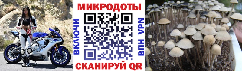 сайты даркнета как зайти  Новосокольники  Галлюциногенные грибы ЛСД 